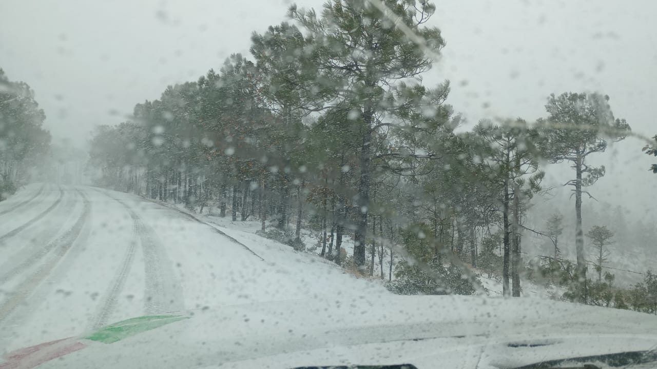 Heladas de -6°C amenazan la sierra chihuahuense este fin de semana