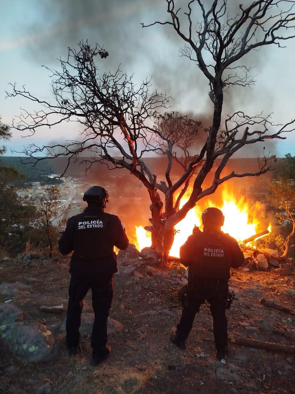 Destruyen "narcocampamento" en Guachochi