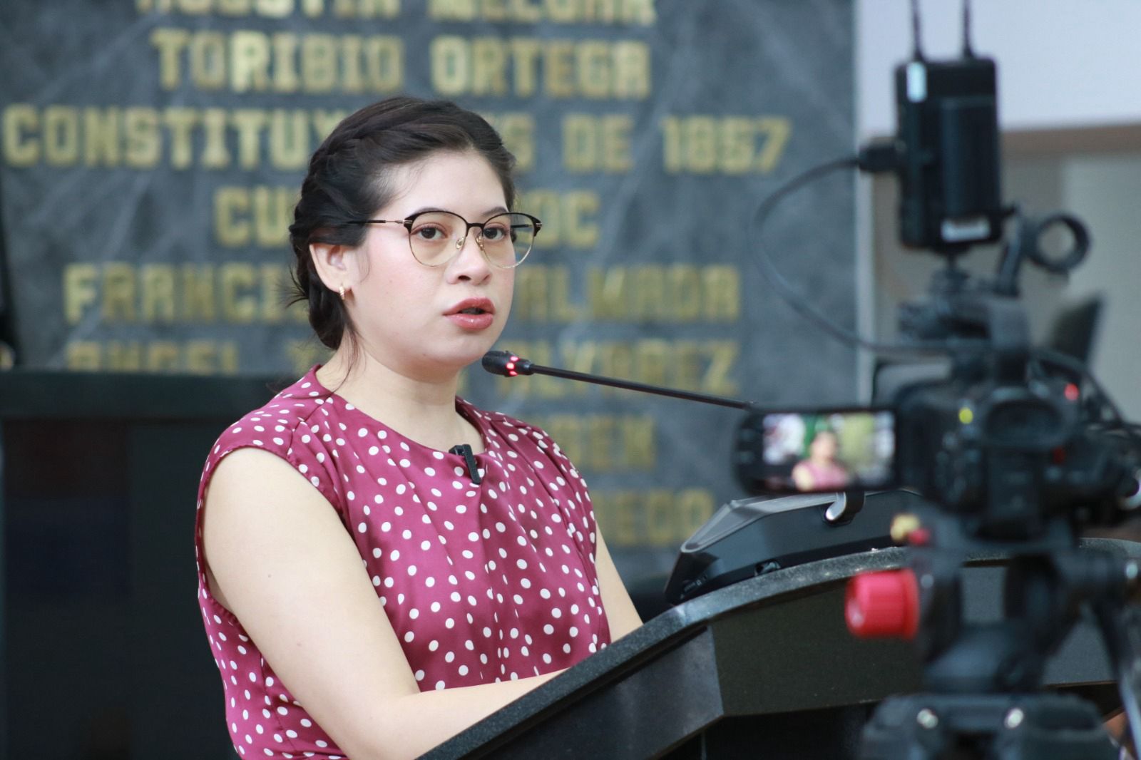 Propone Jael Argüelles regular y reubicar ladrilleras