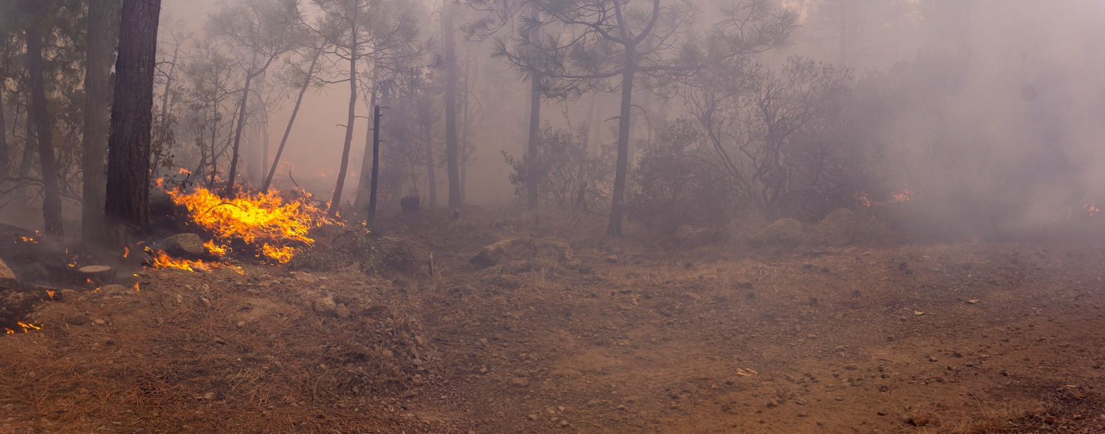 Advierten riesgos en incendios forestales 