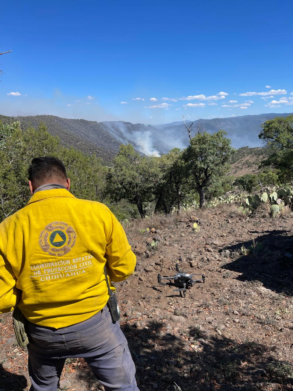 Despliegan operativo para combatir incendios forestales en Madera