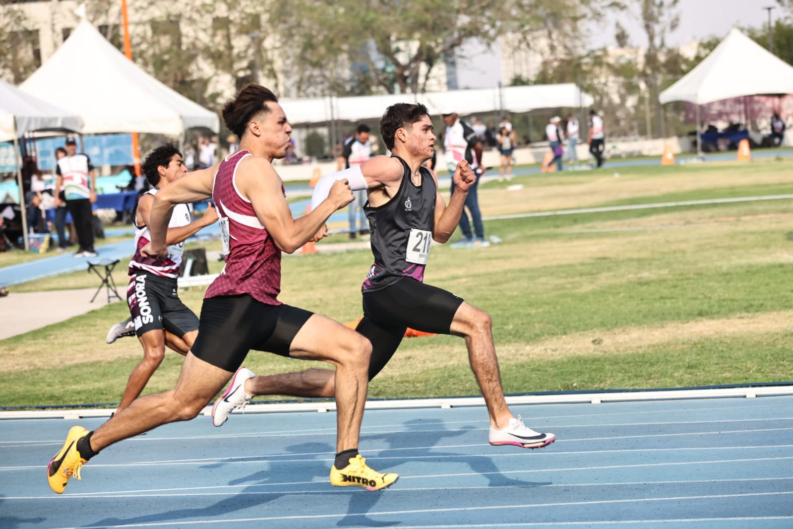Chihuahua brilla en la pista nacional