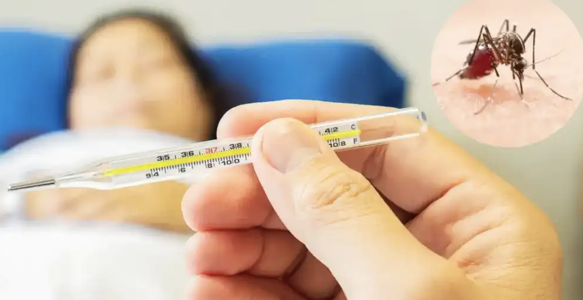 Descartan dengue y paludismo en casos registrados en Jicapore